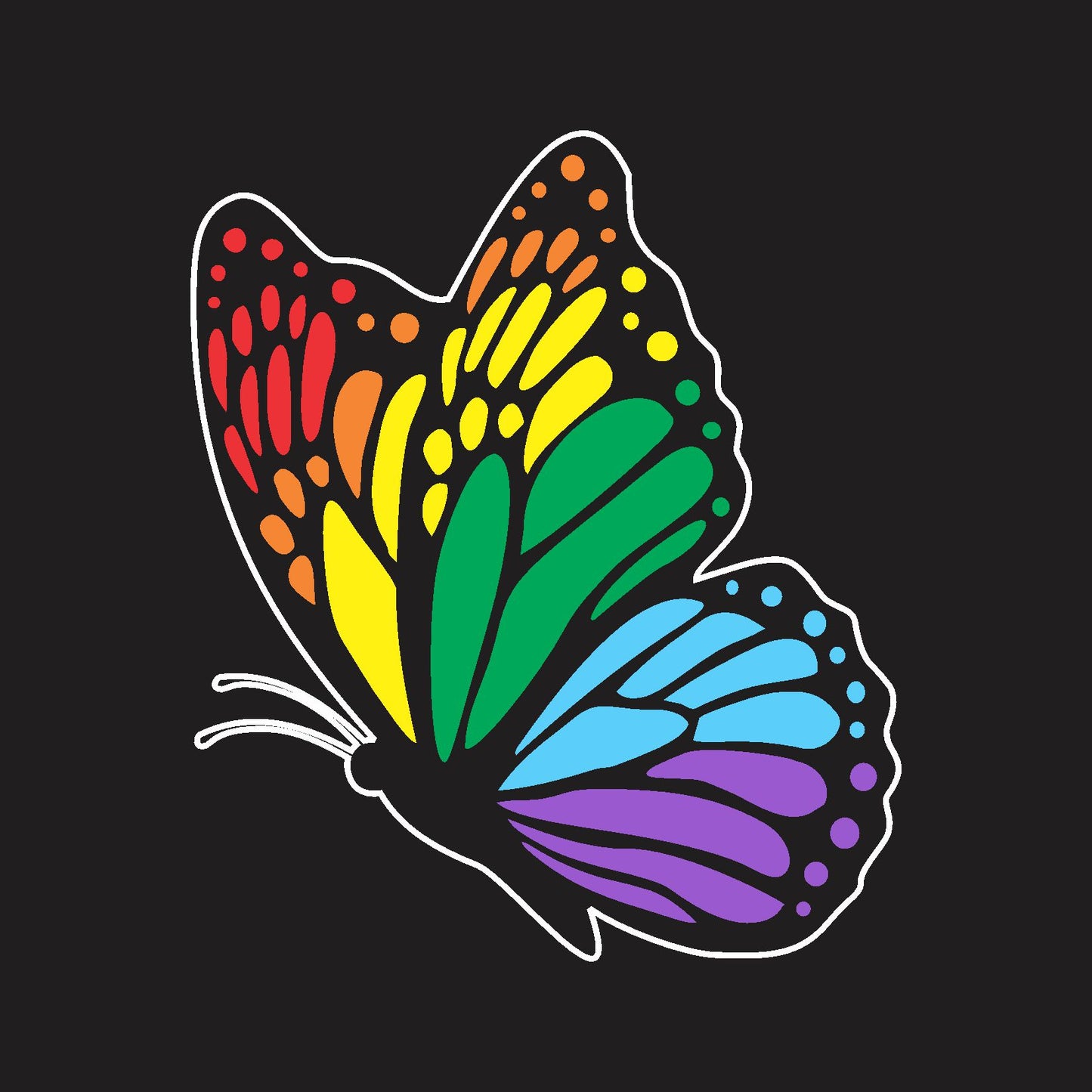 Rainbow Butterfly